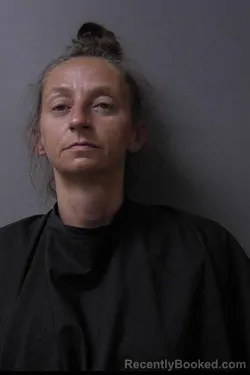 Mugshot of Carri Ann Gray booked in Madison County, Indiana on June 11, 2026
