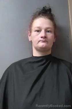 Mugshot of Tiffany Nicole Johnson booked in Madison County, Indiana on June 14, 2026