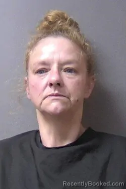 Mugshot of Mindy Gene Lunsford booked in Madison County, Indiana on June 15, 2026