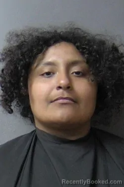 Mugshot of Amy Juquila Jeronimo booked in Madison County, Indiana on June 21, 2026