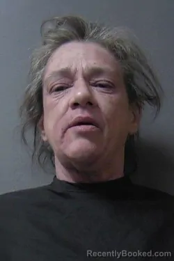 Mugshot of Amy Kathleen Anderson booked in Madison County, Indiana on July 6, 2026