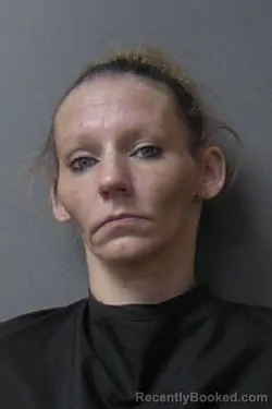 Mugshot of Tiffany Ann Rogers booked in Madison County, Indiana on July 7, 2026
