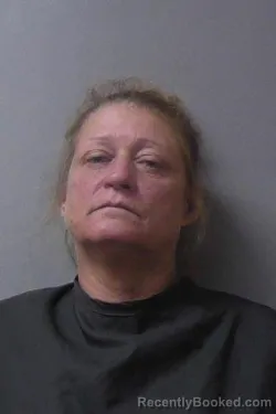 Mugshot of Jessica A Hensley booked in Madison County, Indiana on July 11, 2026