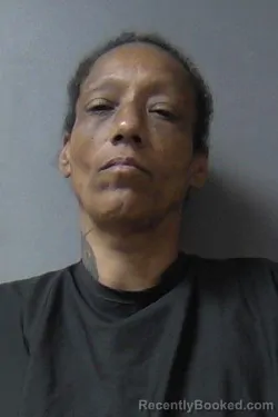 Mugshot of Dena Laverne Johnson booked in Madison County, Indiana on July 13, 2026