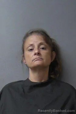 Mugshot of Stefanie Renea Lacey booked in Madison County, Indiana on July 14, 2026