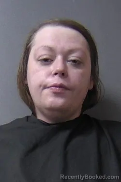 Mugshot of Tammie Marie Lingle booked in Madison County, Indiana on July 14, 2026