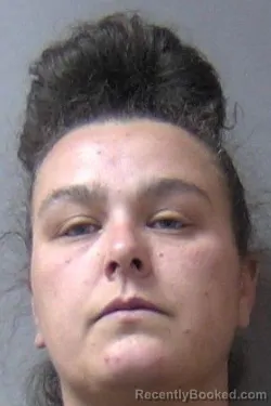 Mugshot of Emily R Geisert booked in Madison County, Indiana on July 15, 2026