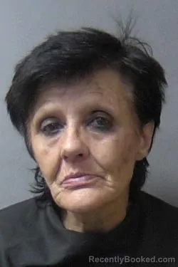 Mugshot of Tina M Mcdole booked in Madison County, Indiana on July 17, 2026