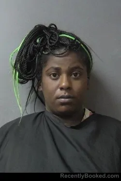 Mugshot of Nakyla Shiann Porter booked in Madison County, Indiana on July 17, 2026