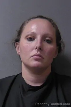 Mugshot of Elise Jean Seeley booked in Madison County, Indiana on July 25, 2026
