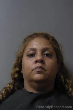 Mugshot of Michelle Renee Lyles booked in Madison County, Indiana on July 28, 2026