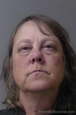 Mugshot of Melinda Ann Mills booked in Madison County, Indiana on July 29, 2026