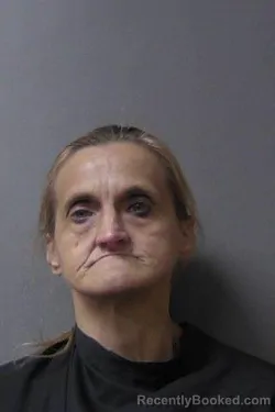 Mugshot of Deann E Johnson booked in Madison County, Indiana on August 17, 2026