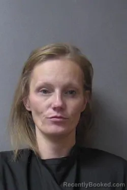 Mugshot of Maressa Ayrana Lee booked in Madison County, Indiana on August 24, 2026