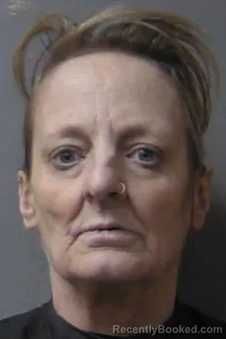 Mugshot of Lillian Lynette Dudley booked in Madison County, Indiana on August 26, 2026
