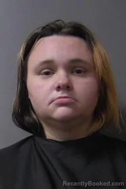 Mugshot of Brittnie Marie Rose booked in Madison County, Indiana on August 28, 2026