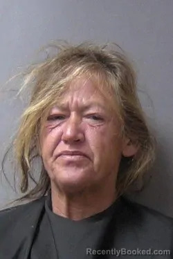 Mugshot of Shelley Ray Carlin booked in Madison County, Indiana on September 10, 2026