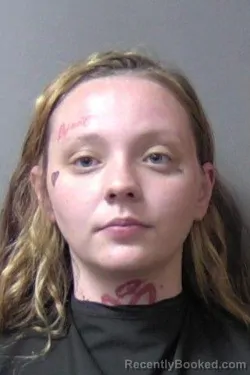 Mugshot of Emily Rayne Heath booked in Madison County, Indiana on September 11, 2026