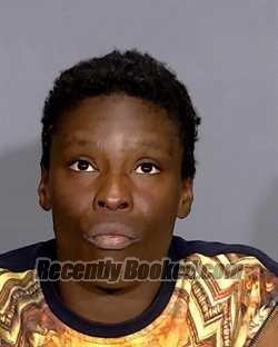 Mugshot of ROSETTA DASHAI MIKEL