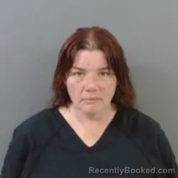 Mugshot of Theresa Faye Lewis booked in Martin County, Indiana on July 1, 2026