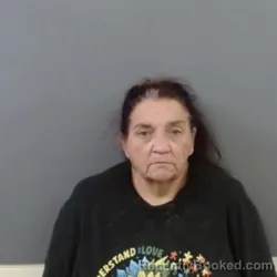 Mugshot of Cheryl M Davidson booked in Martin County, Indiana on September 21, 2026