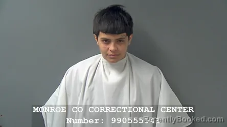 Mugshot of JESSEE RENEE HARVILL