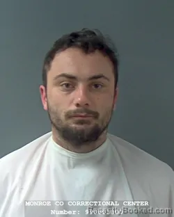 Mugshot of RYAN M POSEY