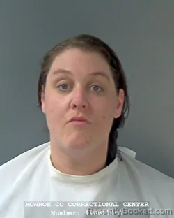 Mugshot of MEGAN LEE KRONENBERGER
