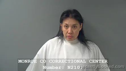 Mugshot of YZMARI J HENDERSON