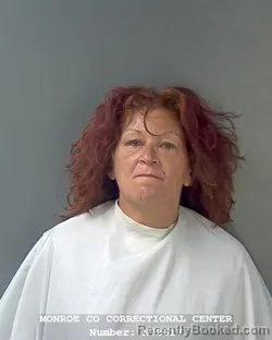 Mugshot of BRANDY LYNN TURNER