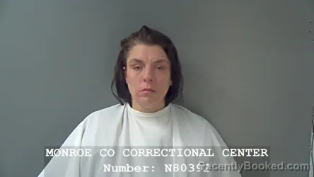Mugshot of BRANDY DEE SHIFFLETT