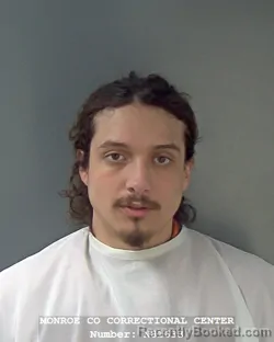 Mugshot of AIDEN AKI SILVA