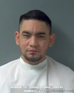 Mugshot of EMILIO PALOMARES RUIDIAZ