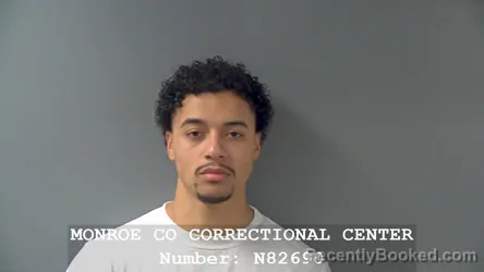 Mugshot of DAVID N MCFADDEN