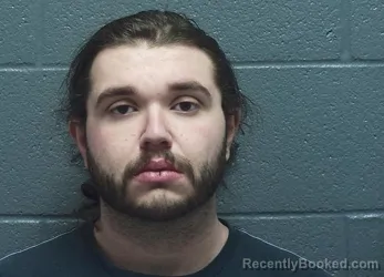 Mugshot of AARON JAMES FISH