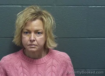 Mugshot of ROBIN LEIGH VANCLEAVE