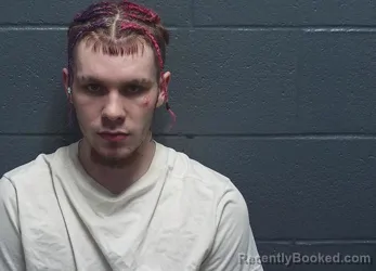 Mugshot of JADEN JAMES ROBINSON