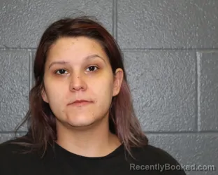 Mugshot of VANESSA LEE WILEY booked in Montgomery County, Indiana on April 30, 2026