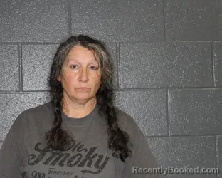 Mugshot of GRETA ALLISON HARRIS booked in Montgomery County, Indiana on May 20, 2026