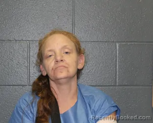Mugshot of TISHA ANN JOHNSON booked in Montgomery County, Indiana on August 5, 2026
