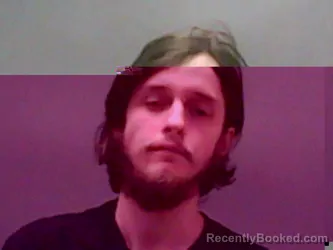 Mugshot of DYLAN DANCER