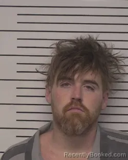 Mugshot of JOSEY LEE DELLINGER