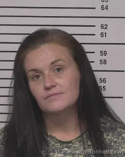 Mugshot of VEDA LYNN MILLS booked in Iredell County, North Carolina on March 16, 2026