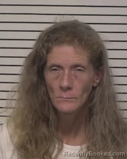 Mugshot of Lori Diane Kyles Ferguson booked in Iredell County, North Carolina on August 17, 2026