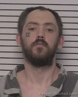 Mugshot of ROBERT MICHAEL DEYOUNG