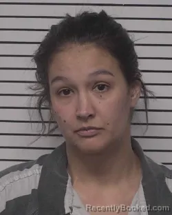 Mugshot of BRITANY NICOLE NAPIER