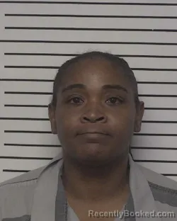 Mugshot of TANYA LASHELLA ROSEBORO booked in Iredell County, North Carolina on June 26, 2026