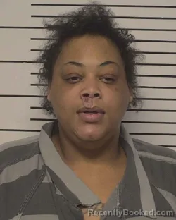 Mugshot of HOLLIANNA PATREECE GABRIEL booked in Iredell County, North Carolina on April 29, 2026