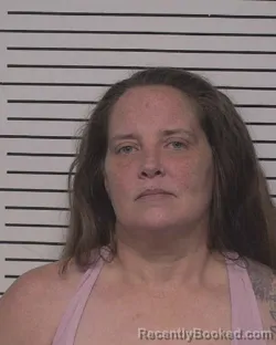 Mugshot of MELISSA TRINITY HENDERSON booked in Iredell County, North Carolina on March 27, 2026