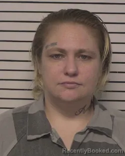 Mugshot of SASHA CHERIE RIPPEY booked in Iredell County, North Carolina on April 24, 2026